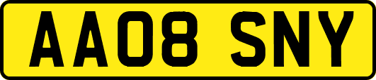 AA08SNY