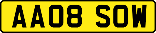 AA08SOW