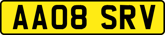AA08SRV