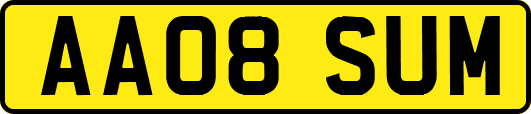 AA08SUM