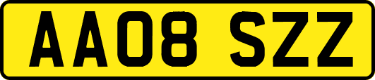 AA08SZZ