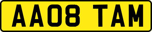 AA08TAM