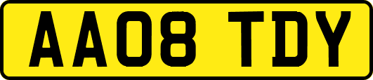 AA08TDY