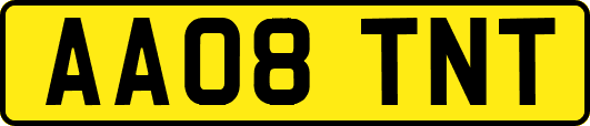 AA08TNT
