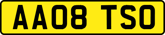 AA08TSO