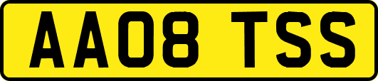 AA08TSS