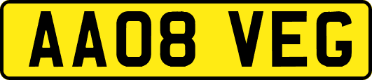 AA08VEG