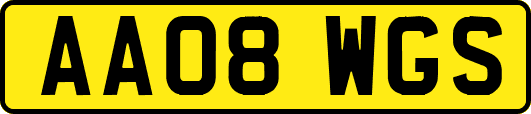 AA08WGS