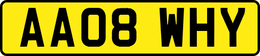 AA08WHY