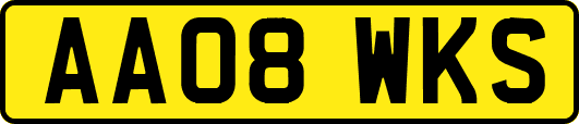 AA08WKS