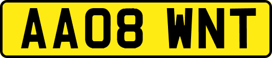 AA08WNT