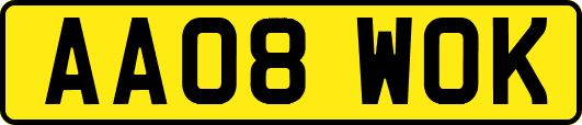 AA08WOK