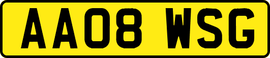AA08WSG