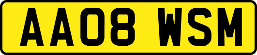 AA08WSM