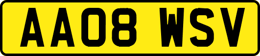 AA08WSV