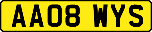 AA08WYS