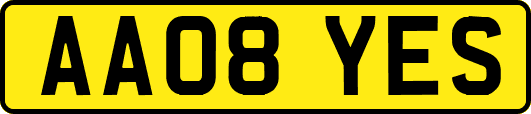 AA08YES