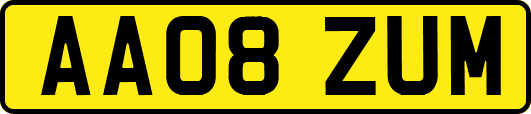 AA08ZUM