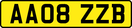 AA08ZZB