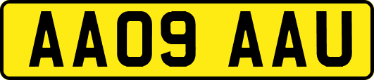 AA09AAU