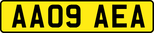AA09AEA