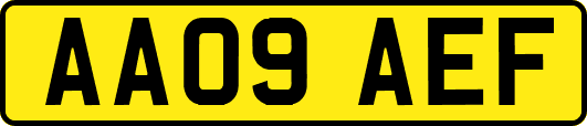 AA09AEF