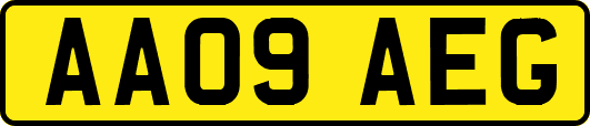 AA09AEG