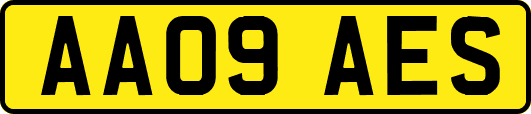 AA09AES