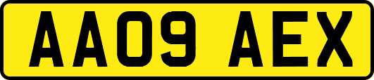 AA09AEX