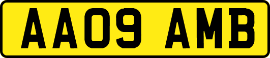 AA09AMB