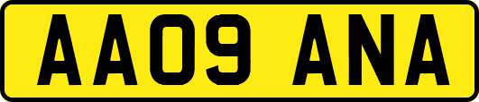 AA09ANA