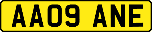 AA09ANE
