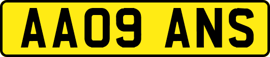 AA09ANS