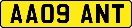 AA09ANT