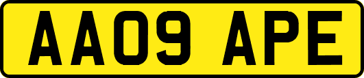 AA09APE