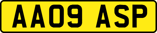 AA09ASP