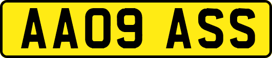 AA09ASS