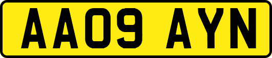 AA09AYN