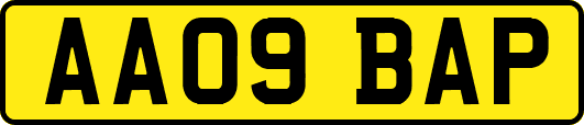 AA09BAP