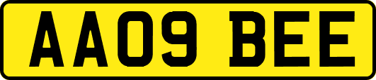 AA09BEE