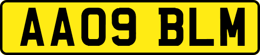 AA09BLM