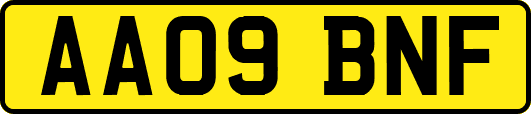 AA09BNF