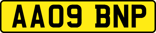 AA09BNP