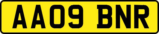 AA09BNR
