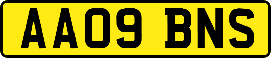 AA09BNS