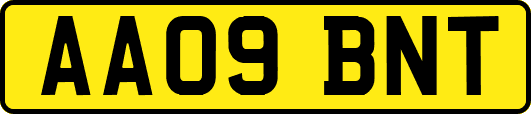 AA09BNT