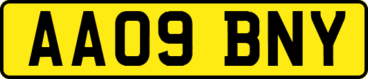 AA09BNY