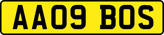 AA09BOS