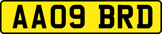 AA09BRD