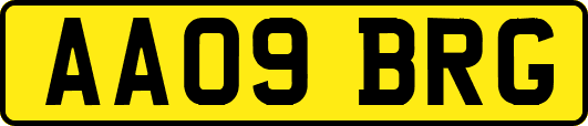 AA09BRG